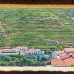 Douro Valley Full Day Tour with River Cruise and Wine Tastings - Exploring the Douro Valley Full Day Tour in Detail