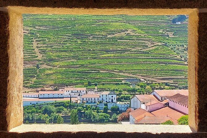 Douro Valley Full Day Tour with River Cruise and Wine Tastings - Exploring the Douro Valley Full Day Tour in Detail