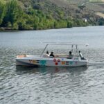 Douro Valley: Guided Tour with Wine Tasting and Lunch - Discover the Douro Valley with a Guided Tour: Wine, Views, and a Delicious Lunch