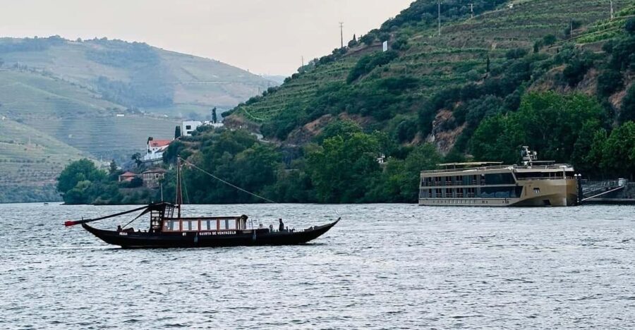 Douro Valley Journey: 4 Cities and Wine Estate All-Included - Who This Tour Is Best For