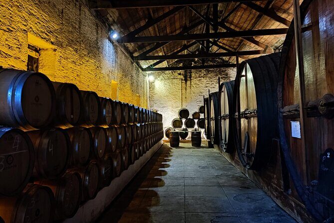 Douro Valley Pinhao Quinta da Foz Tour and Tasting 5 Wines - Why the Douro Valley and Quinta da Foz Are Worth Visiting