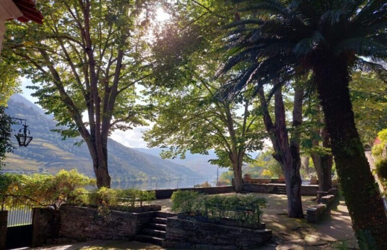 Douro Valley: (Pinhão) Quinta da Foz - Tour&Tasting 5 WINES - The experience in detail: what makes this tour special