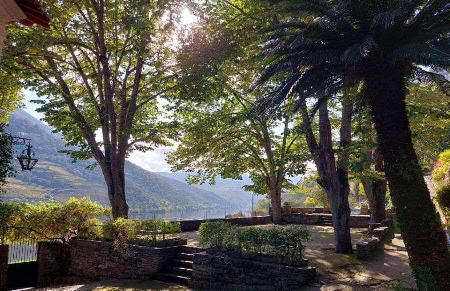 Douro Valley: (Pinhão) Quinta da Foz - Tour&Tasting 5 WINES - The experience in detail: what makes this tour special