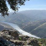 Douro Valley private tour includes wine tasting and boat trip - Who Should Consider This Tour?