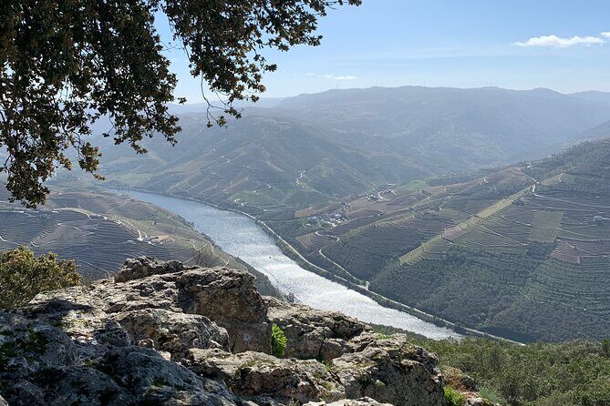 Douro Valley private tour includes wine tasting and boat trip - Who Should Consider This Tour?