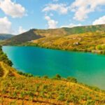 Douro Valley Private Tour with 2 wine tastings - The Sum Up: Who Is This Tour Best For?