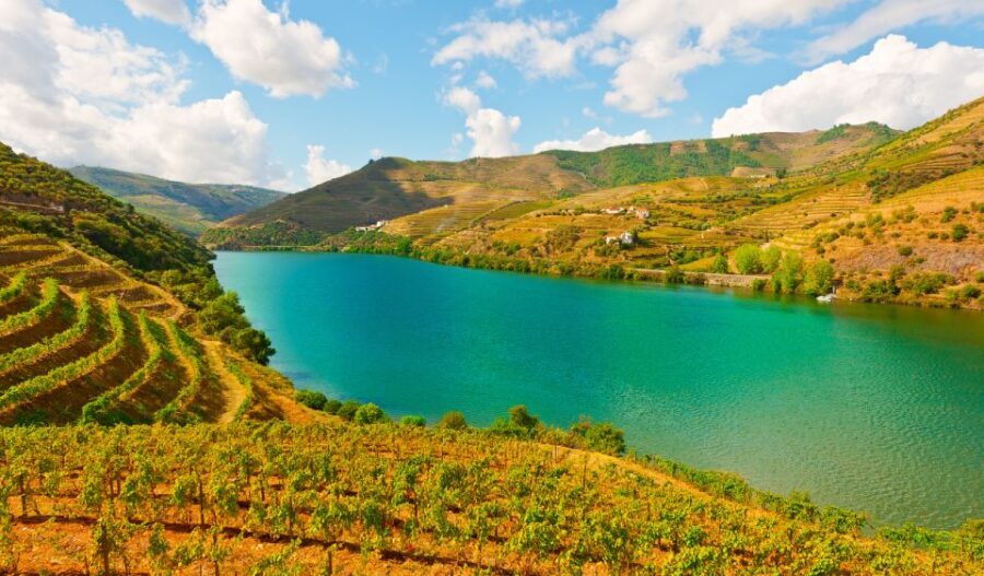 Douro Valley Private Tour with 2 wine tastings - The Sum Up: Who Is This Tour Best For?