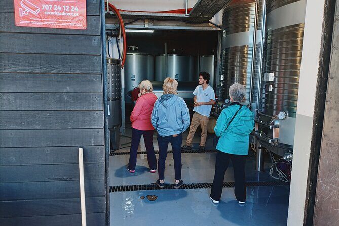 Douro Valley Private Tour with Sommelier - The Sum Up
