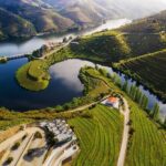 Douro Valley Private Tour with tasting included - A Deep Dive into the Douro Valley Private Tour