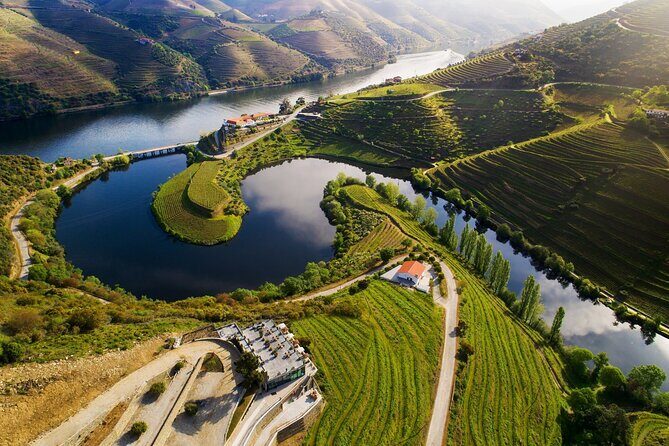 Douro Valley Private Tour with tasting included - A Deep Dive into the Douro Valley Private Tour
