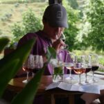 Douro Valley: Quinta do Tedo Winery Tour and Tasting - Who Should Consider This Tour?