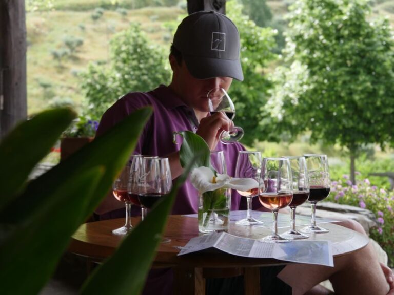 Douro Valley: Quinta do Tedo Winery Tour and Tasting - Who Should Consider This Tour?