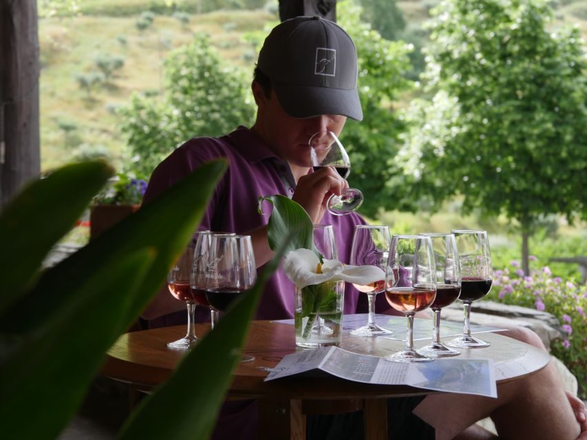 Douro Valley: Quinta do Tedo Winery Tour and Tasting - Who Should Consider This Tour?