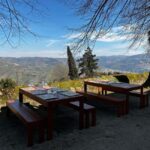 Douro Valley: Quinta Santa Júlia Tour, Wine Tasting & Lunch - A Genuine, In-Depth Look at the Quinta Santa Júlia Tour