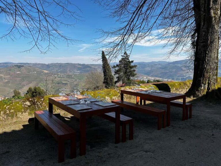 Douro Valley: Quinta Santa Júlia Tour, Wine Tasting & Lunch - A Genuine, In-Depth Look at the Quinta Santa Júlia Tour
