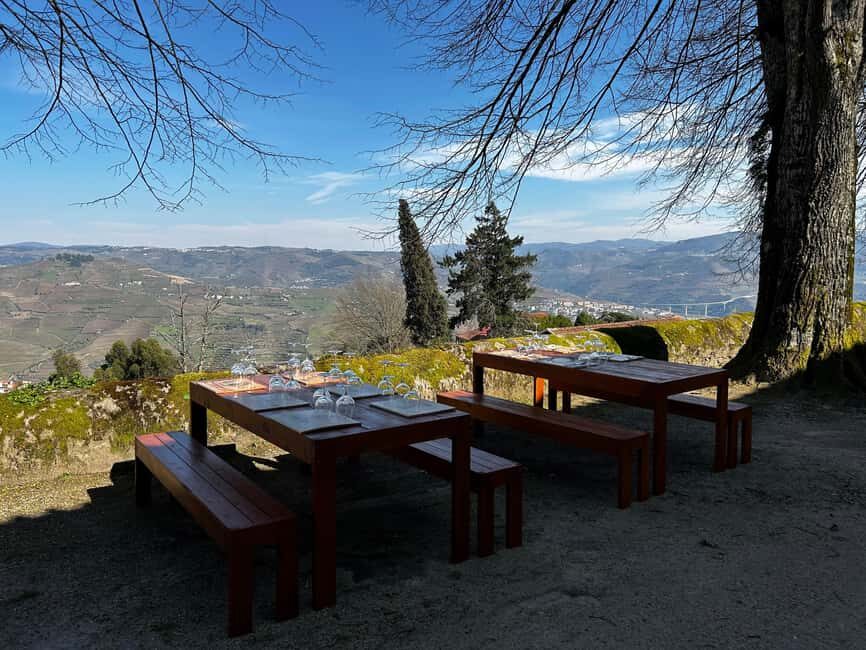 Douro Valley: Quinta Santa Júlia Tour, Wine Tasting & Lunch - A Genuine, In-Depth Look at the Quinta Santa Júlia Tour