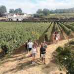 Douro Valley: Real Small-Group, Wine Tasting, Lunch & Boat - Authentic, Carefully Curated Experiences