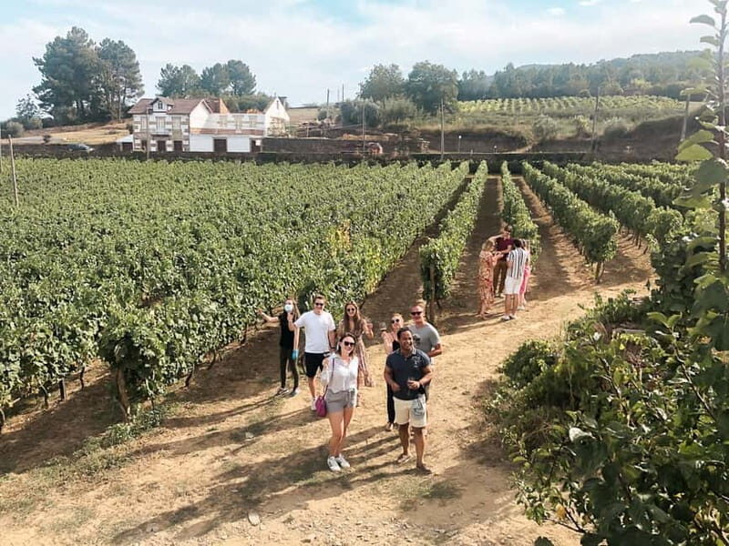 Douro Valley: Real Small-Group, Wine Tasting, Lunch & Boat - Authentic, Carefully Curated Experiences