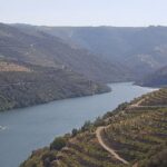 Douro Valley Tour: Wine Tasting River Cruise and Lunch from Porto - Who Should Book This Tour?