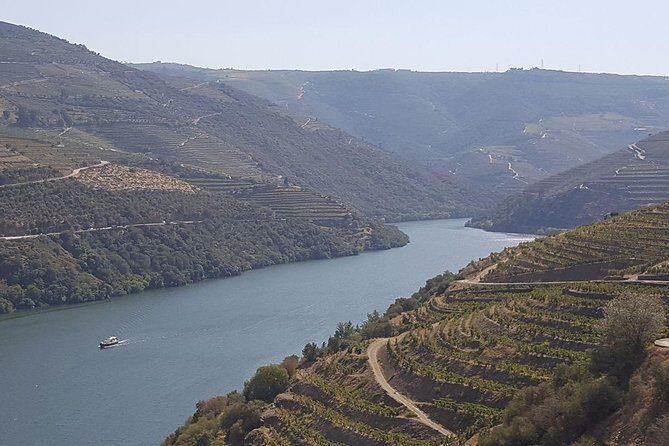 Douro Valley Tour: Wine Tasting River Cruise and Lunch from Porto - Who Should Book This Tour?