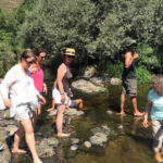 Douro Valley: water walking adventure with local lunch - The Local Lunch: A Taste of Douro