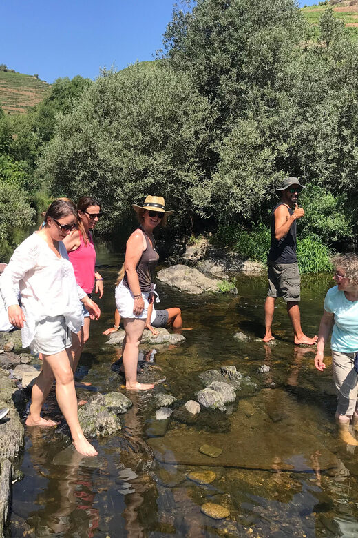 Douro Valley: water walking adventure with local lunch - The Local Lunch: A Taste of Douro