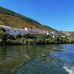 Douro Valley Winery Day Trip with River Cruise - Practical Details and Tips