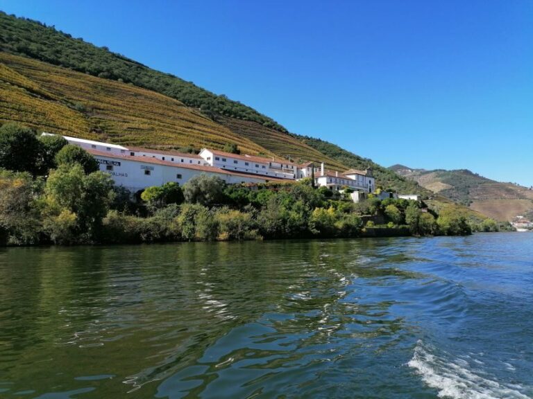 Douro Valley Winery Day Trip with River Cruise - Practical Details and Tips
