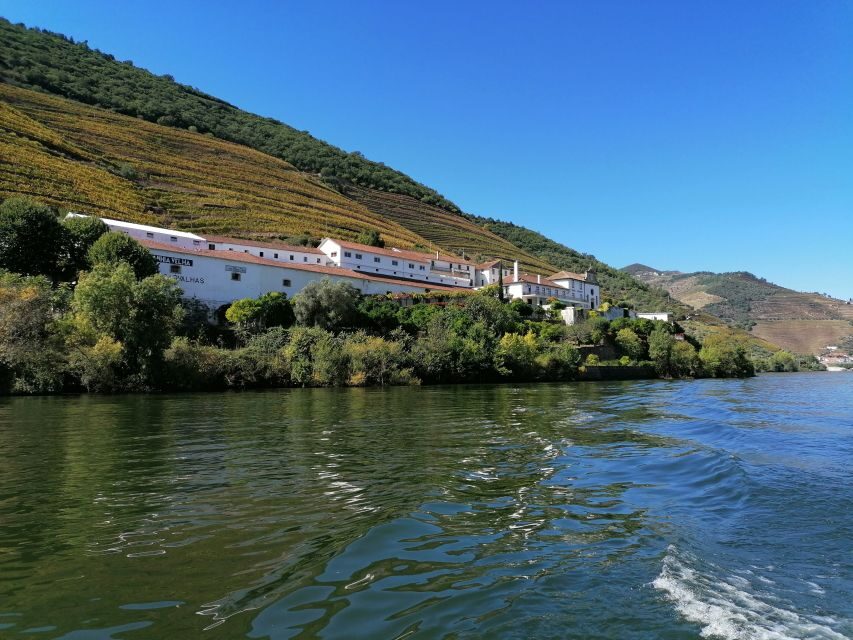 Douro Valley Winery Day Trip with River Cruise - Practical Details and Tips