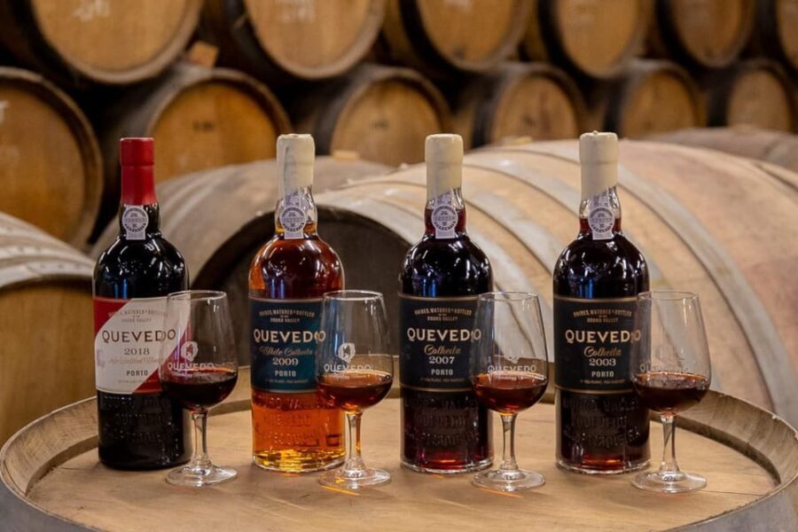 Douro Valley: Winery Visit & Premium Aged Port Wine Tasting - Who Should Consider This Tour?
