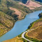 Douro: Wine Tasting and river cruise Experience - Who Will Love This Tour?