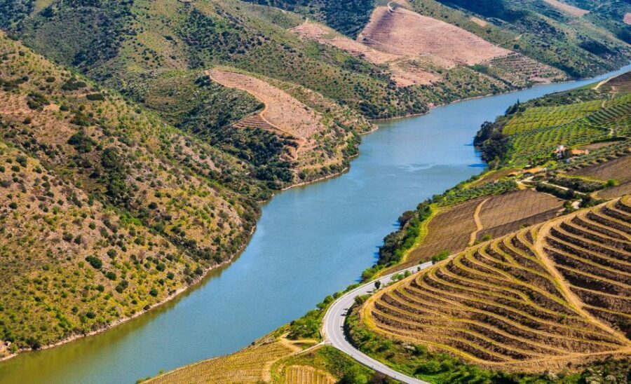 Douro: Wine Tasting and river cruise Experience - Who Will Love This Tour?