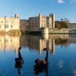 Dover Cruise Ship to Leeds Castle via Canterbury, Villages & back - What’s Included and What’s Not