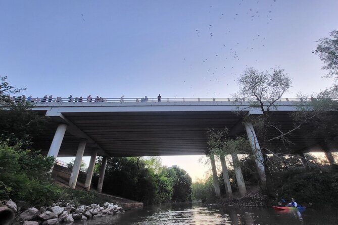 Downtown Houston Bat and Skyline Kayaking Tour - FAQ
