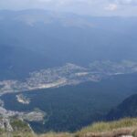 Dracula and Peles Castles Premium Tour with Hotel pick-up - What the Reviews Say