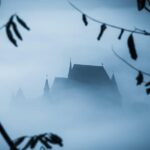 Dracula beyond the legend: 8-day private tour in Transilvania - The Practical Side: What to Expect and Value