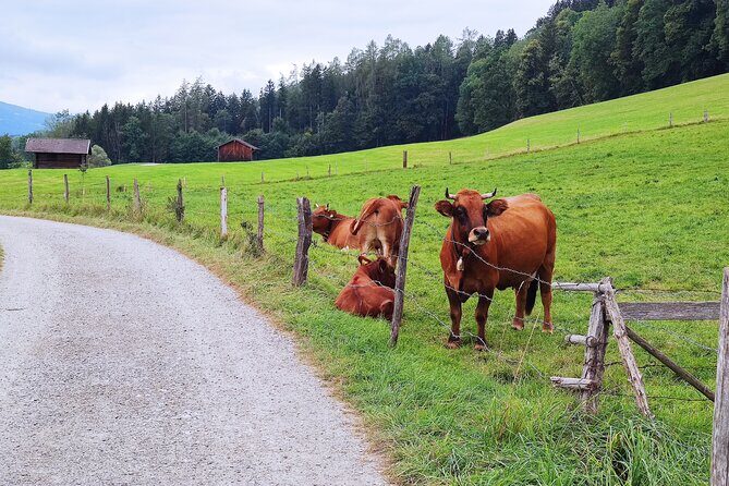Dragon Slayer Way Beer Hike Food Experience Private Tour (departs Munich) - Is This Tour Worth the Cost?