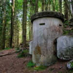 Driver-Guide: Salzburg-Königsee, Salt Mines and Eagle's Nest - The Sum Up