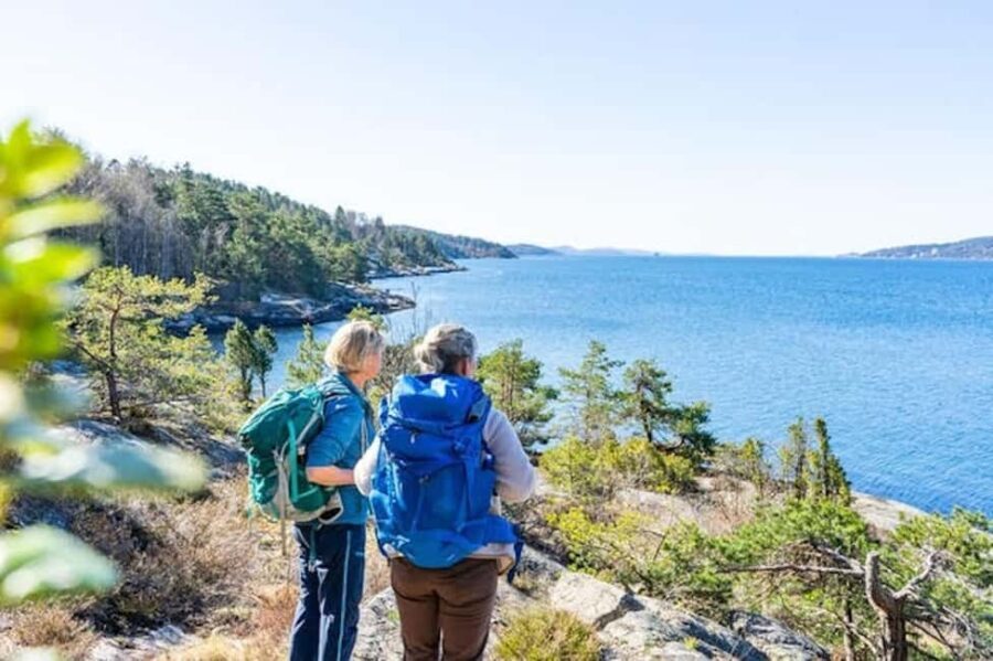 Drøbak: Coastal Walk with Coffee, Buns, and Hammocks - A Detailed Look at the Experience