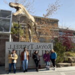 Drumheller Full Day: Tyrrell Museum & Canyon Adventure - Why This Tour Offers Great Value