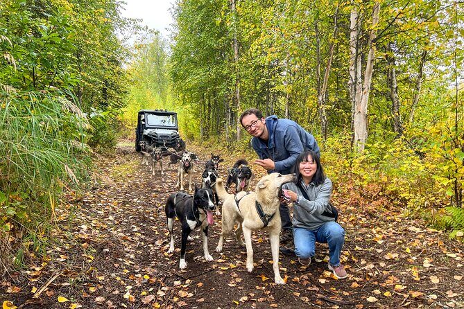 Dryland Dog Sled Tour - Final Thoughts: Is This Tour Worth It?