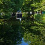 Dublin Georgian Quarter Walking Tour in Spanish - Why Choose This Tour?
