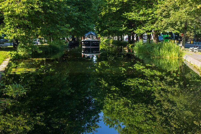 Dublin Georgian Quarter Walking Tour in Spanish - Why Choose This Tour?