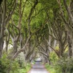 Dublin: Giants Causeway, Dark Hedges, Dunluce & Belfast Tour - A Closer Look: What to Expect on This Northern Ireland Adventure