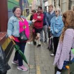 Dublin LGBTQ Pride Historical and Cultural Walking Tour - Practical Details and Considerations