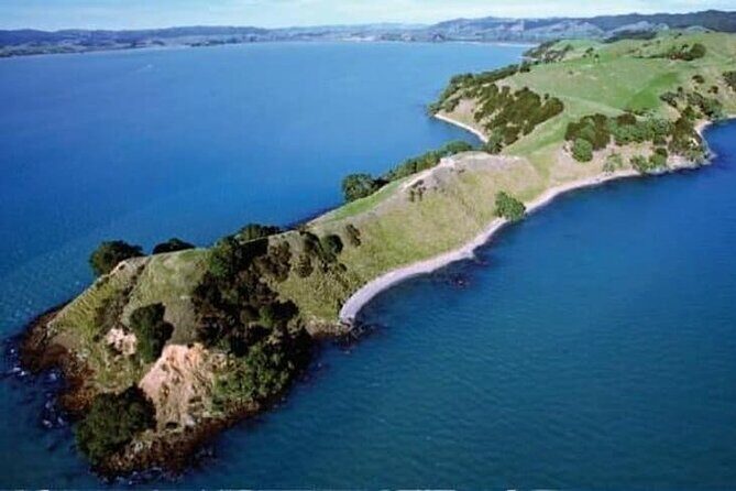 Duder Regional Park Half-Day Walking Tour - The Practicalities: What to Expect