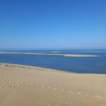 Dune du Pilat, Oysters Tasting and Arcachon! What else ? - The Oyster Tasting at La Teste-de-Buch