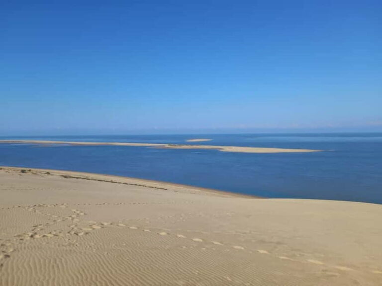 Dune du Pilat, Oysters Tasting and Arcachon! What else ? - The Oyster Tasting at La Teste-de-Buch