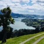 Dunedin: City Highlights and Otago Peninsula Scenery - The Value of This Tour
