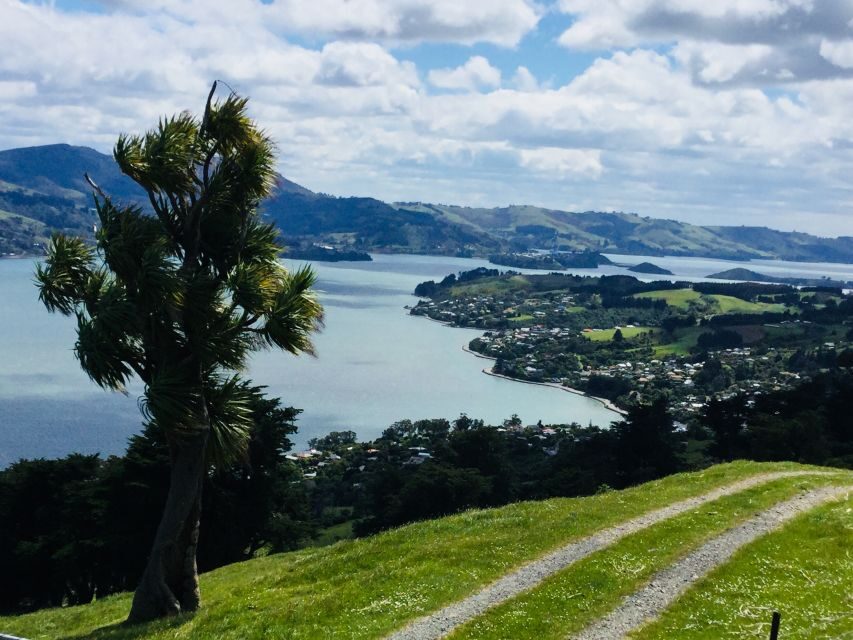 Dunedin: City Highlights and Otago Peninsula Scenery - The Value of This Tour
